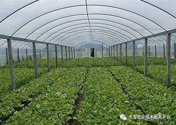 新型温室大棚哪种造价最低,温室大棚的种类及优点