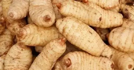 毕节天麻图片,中国大方天麻之乡介绍