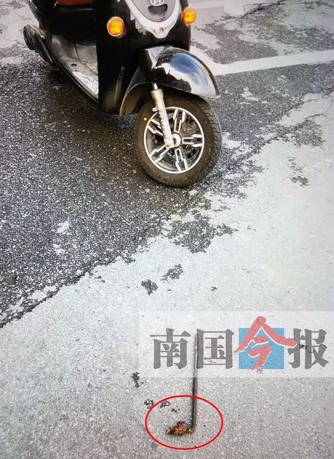 玉林新闻下午茶项目,玉林市重大项目开工典礼