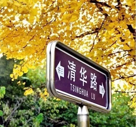 「夜读」“北平之秋便是人间天堂！”秋天的北京美成这样，难怪老舍如此盛赞……（有声朗读）