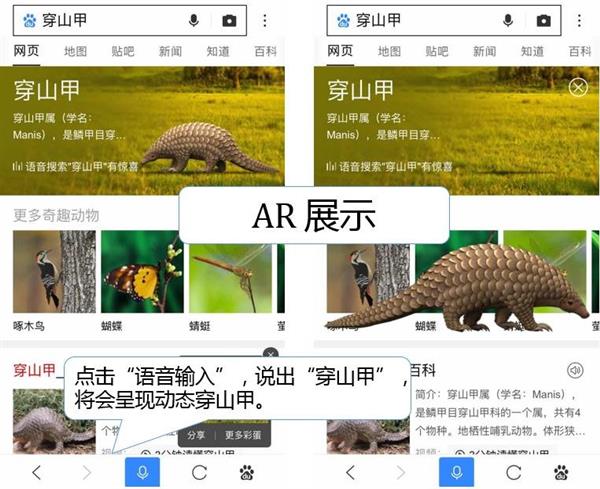 百度贴吧被全吧封禁,百度贴吧封禁账号怎么办