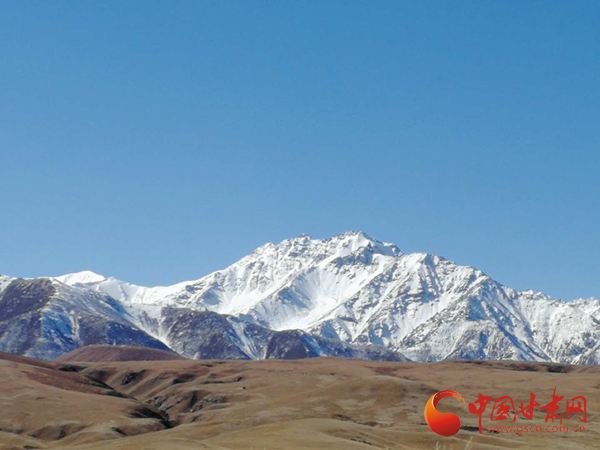 沙产业理论忠实践行者挑战荒漠的大漠之子——人物特写：治沙模范柴在军和他的大漠紫光