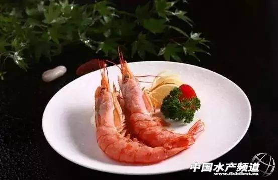 虾类有几千种，你又认识几种？