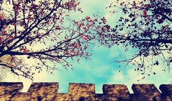 「夜读」“北平之秋便是人间天堂！”秋天的北京美成这样，难怪老舍如此盛赞……（有声朗读）