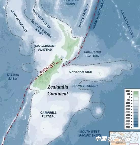 虾类有几千种，你又认识几种？