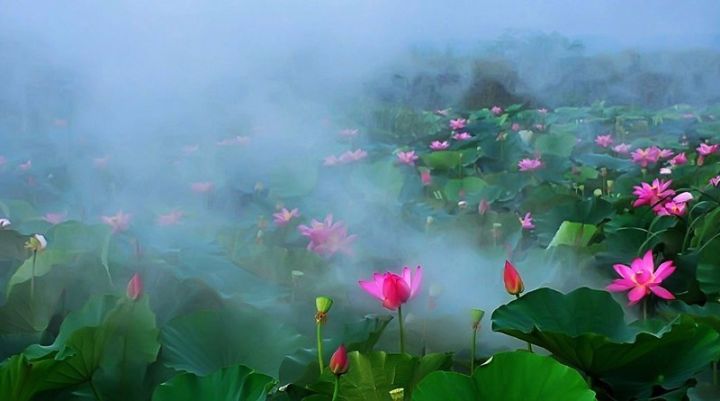 简单介绍一下安徽马鞍山,我的家乡最美的地方是马鞍山