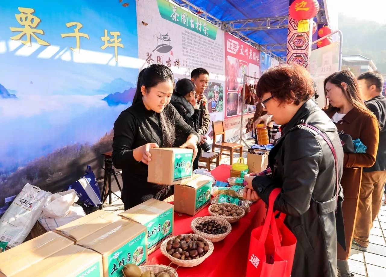 「热点关注」“五峰醉风情、唱响新未来”第三届五峰土家茶乡女儿会燃情启幕！