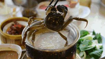 北京哪里自助海鲜便宜又好吃,北京最值得去的海鲜自助