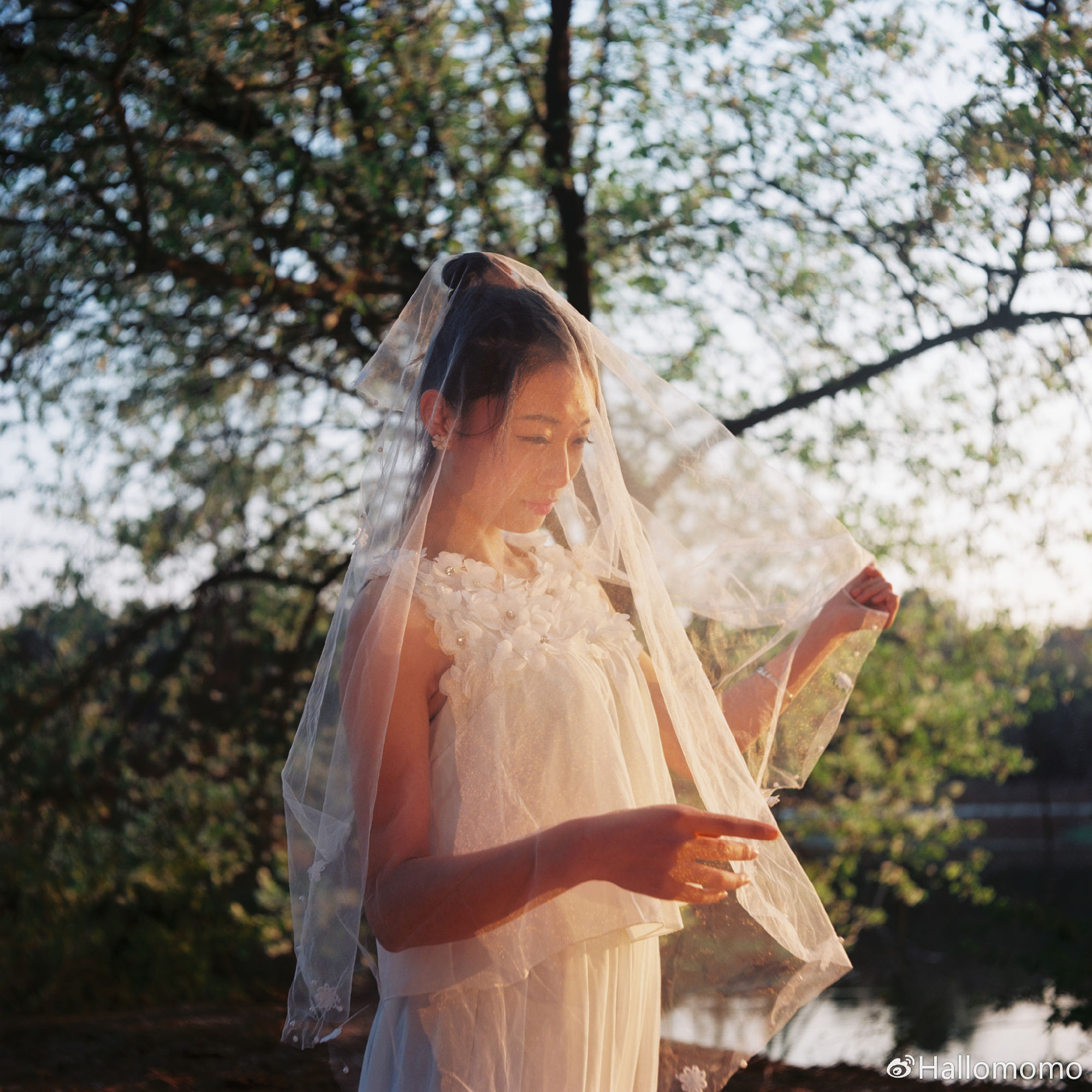 那些年我玩过的胶片机,旁轴胶片机推荐