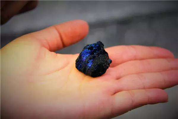 活动回顾｜欧帝亿主题狗狗巴士察哈尔草原深处探秘万年火山