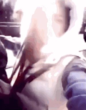 中国人对封建制的误解,中国人对少年大学生有什么看法