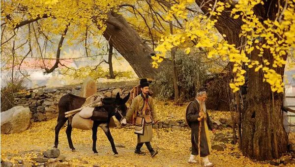 银杏舞，醉深秋｜送您最新赏杏精品自驾游线路！