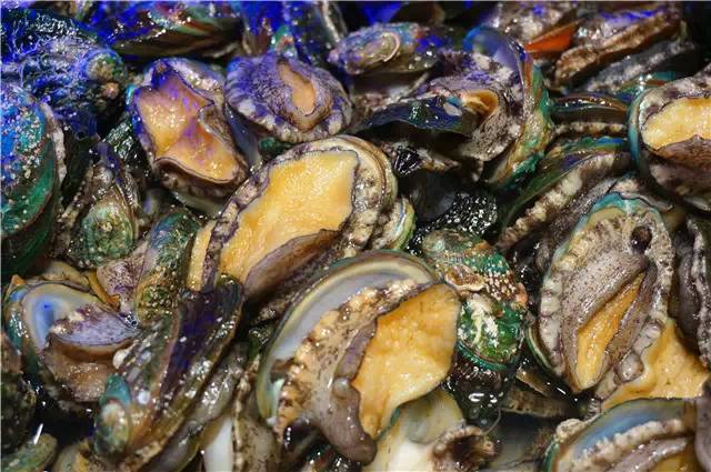 北京哪里自助海鲜便宜又好吃,北京最值得去的海鲜自助