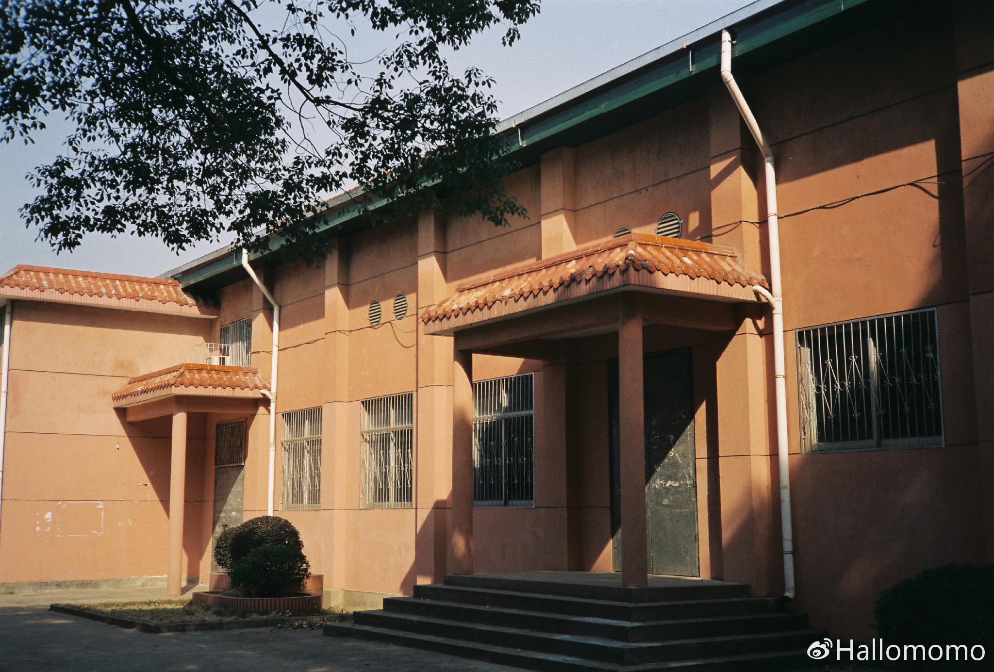 那些年我玩过的胶片机,旁轴胶片机推荐