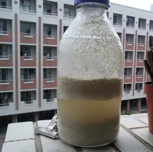 铜钱草和绿萝能一起在鱼缸养吗,绿萝和铜钱草好养活吗图片