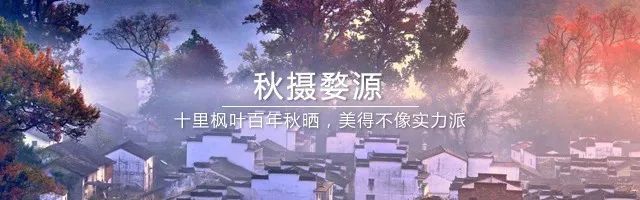 吃了酵素肚子咕咕拉肚子,吃酵素每天都拉肚子