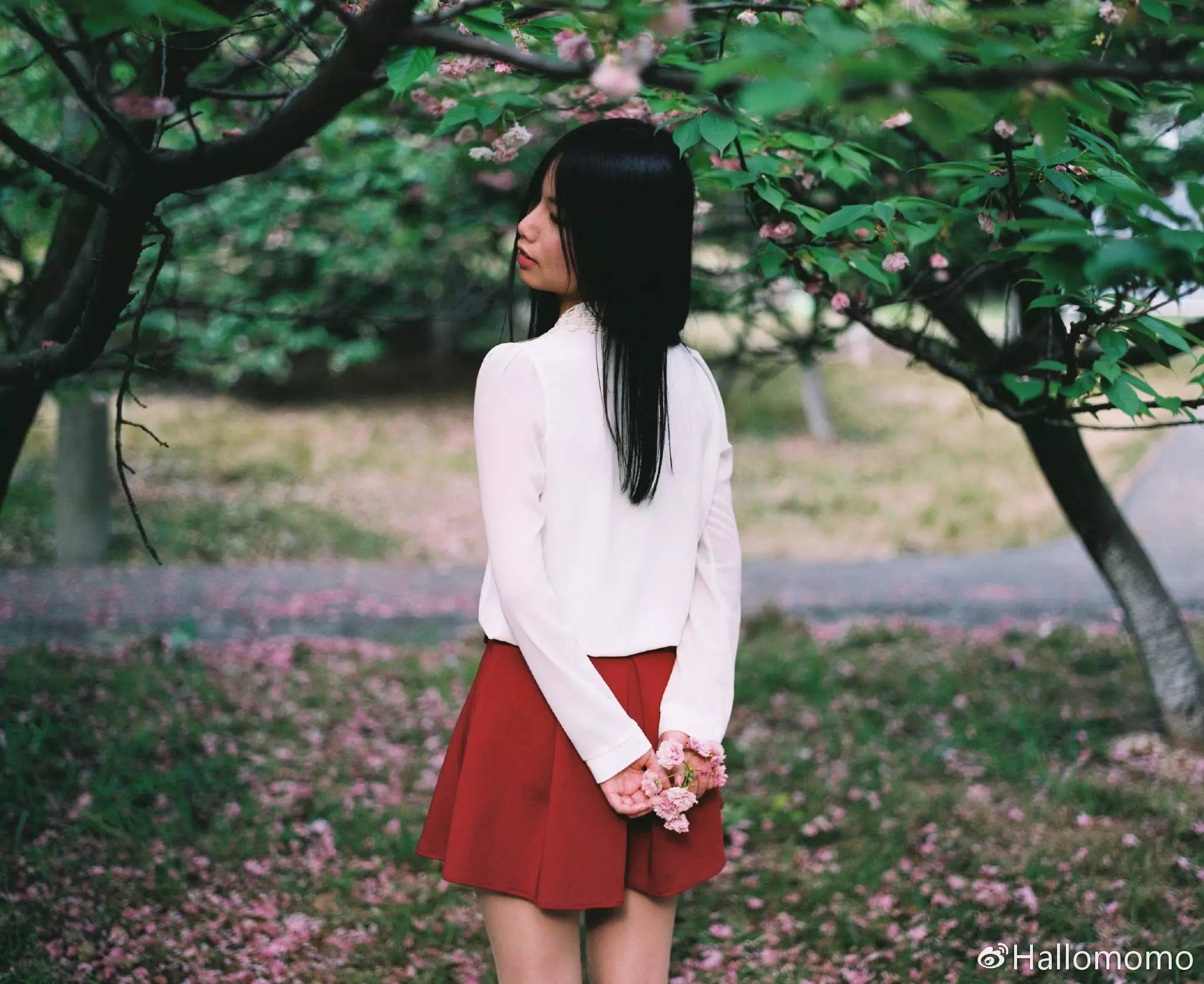 那些年我玩过的胶片机,旁轴胶片机推荐