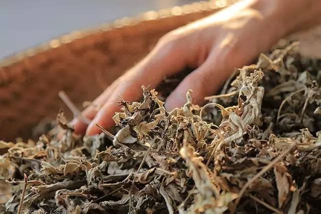 「杏林微科普」您的“尊臀”还好吗？