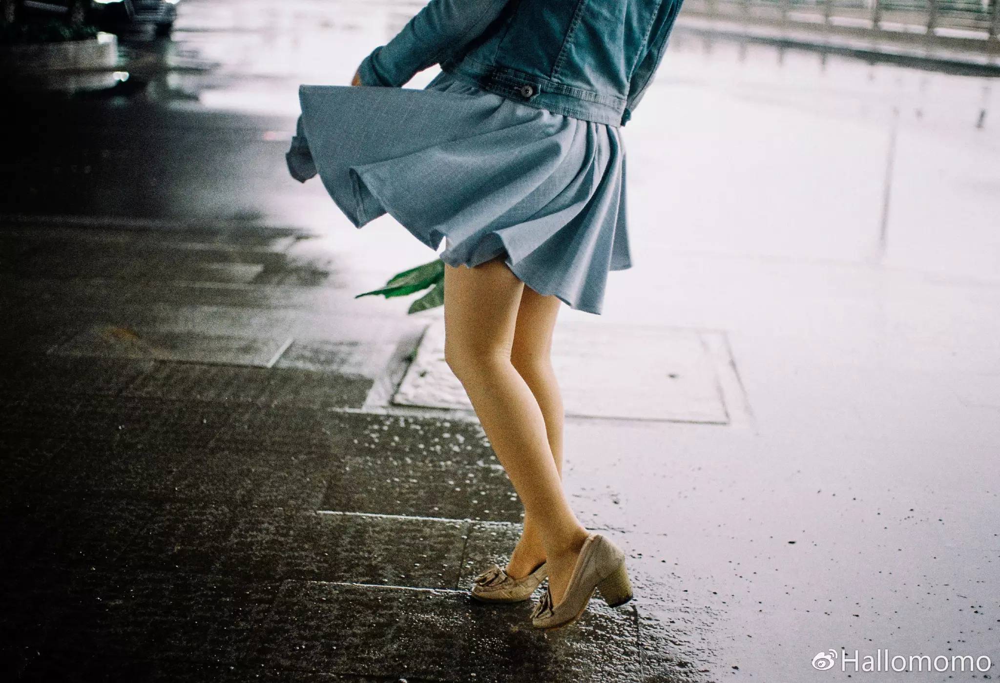 那些年我玩过的胶片机,旁轴胶片机推荐