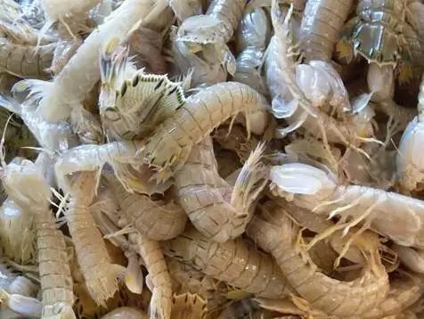 辽宁什么季节吃海鲜最好吃,辽宁海鲜什么时候便宜好吃