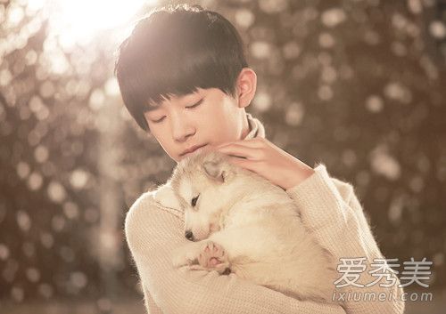 易烊千玺养的猫是什么猫,易烊千玺养的猫