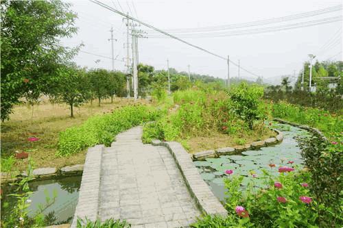 美丽乡村建设参观交流学习,参观学习美丽乡村典型经验
