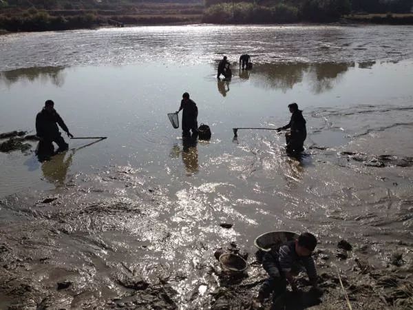 通往哈佛的路,漫漫哈佛路