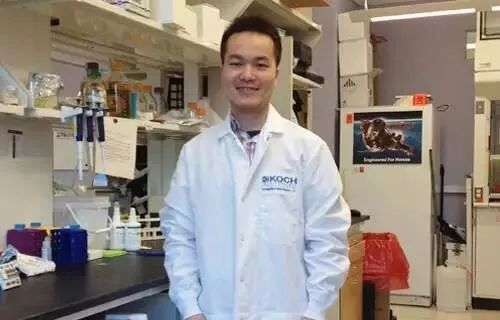 通往哈佛的路,漫漫哈佛路