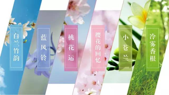 80以内香水女士,合适年轻人的爆款女士香水