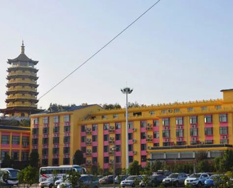 银杏舞，醉深秋｜送您最新赏杏精品自驾游线路！