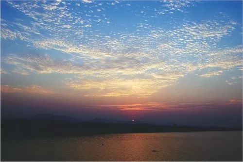 银杏舞，醉深秋｜送您最新赏杏精品自驾游线路！