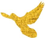 厉害了我的医院｜现代医院管理与研究型医院建设的典范-中国中医科学院西苑医院