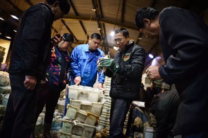 上海去哪里吃实惠而又正宗的海鲜,上海哪里的海鲜又便宜又好吃