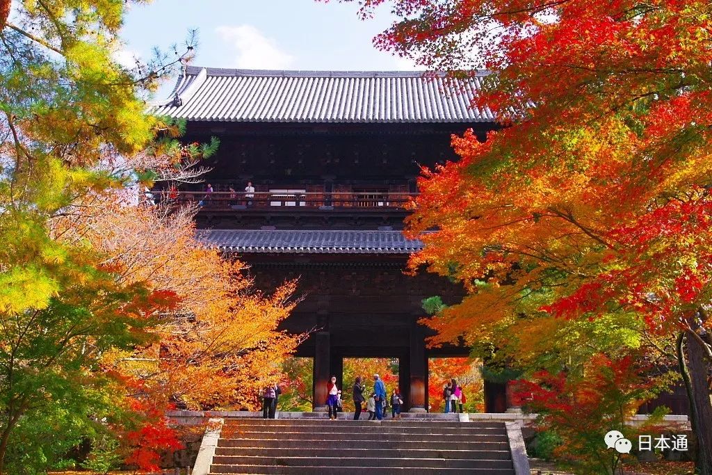 <html>
<head><title>502BadGateway</title></head>
<body>
<center><h1>502BadGateway</h1></center>
<hr><center>nginx</center>
</body>
</html>
<!--apaddingtodisableMSIEandChromefriendlyerrorpage-->
<!--apaddingtodisableMSIEandChromefriendlyerrorpage-->
<!--apaddingtodisableMSIEandChromefriendlyerrorpage-->
<!--apaddingtodisableMSIEandChromefriendlyerrorpage-->
<!--apaddingtodisableMSIEandChromefriendlyerrorpage-->
<!--apaddingtodisableMSIEandChromefriendlyerrorpage-->
