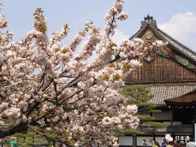 <html>
<head><title>502BadGateway</title></head>
<body>
<center><h1>502BadGateway</h1></center>
<hr><center>nginx</center>
</body>
</html>
<!--apaddingtodisableMSIEandChromefriendlyerrorpage-->
<!--apaddingtodisableMSIEandChromefriendlyerrorpage-->
<!--apaddingtodisableMSIEandChromefriendlyerrorpage-->
<!--apaddingtodisableMSIEandChromefriendlyerrorpage-->
<!--apaddingtodisableMSIEandChromefriendlyerrorpage-->
<!--apaddingtodisableMSIEandChromefriendlyerrorpage-->
