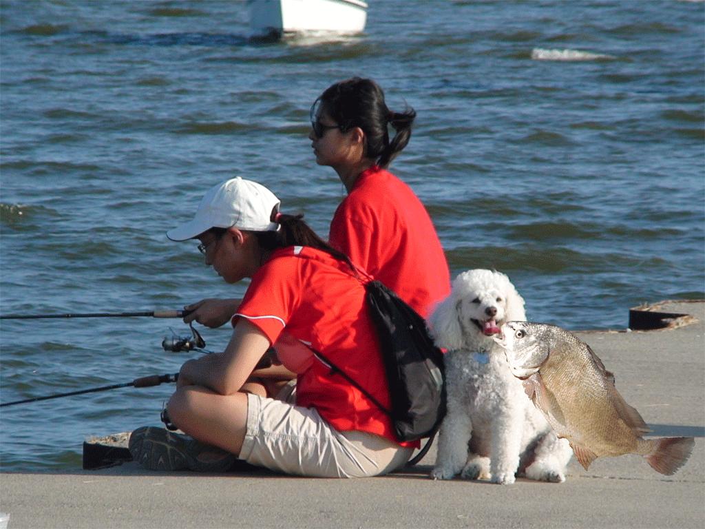 钓鱼也是一种修行修心的事情,钓鱼也是生活中的一个境界