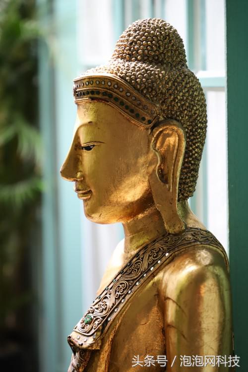 佳能6dmarkii使用详解,入门级全画幅佳能相机型号