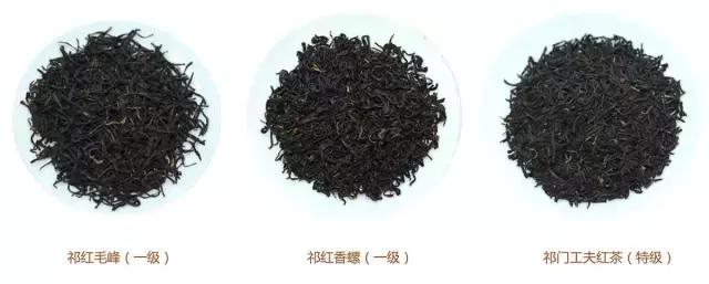 分不清三种祁红，别说你懂她！