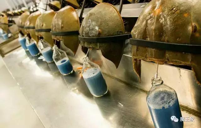 世界上最昂贵的液体排名,10种世界上最昂贵的液体