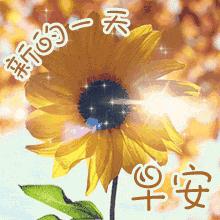 周一早上好祝福图片大全,周一怎么写早上好的祝福语