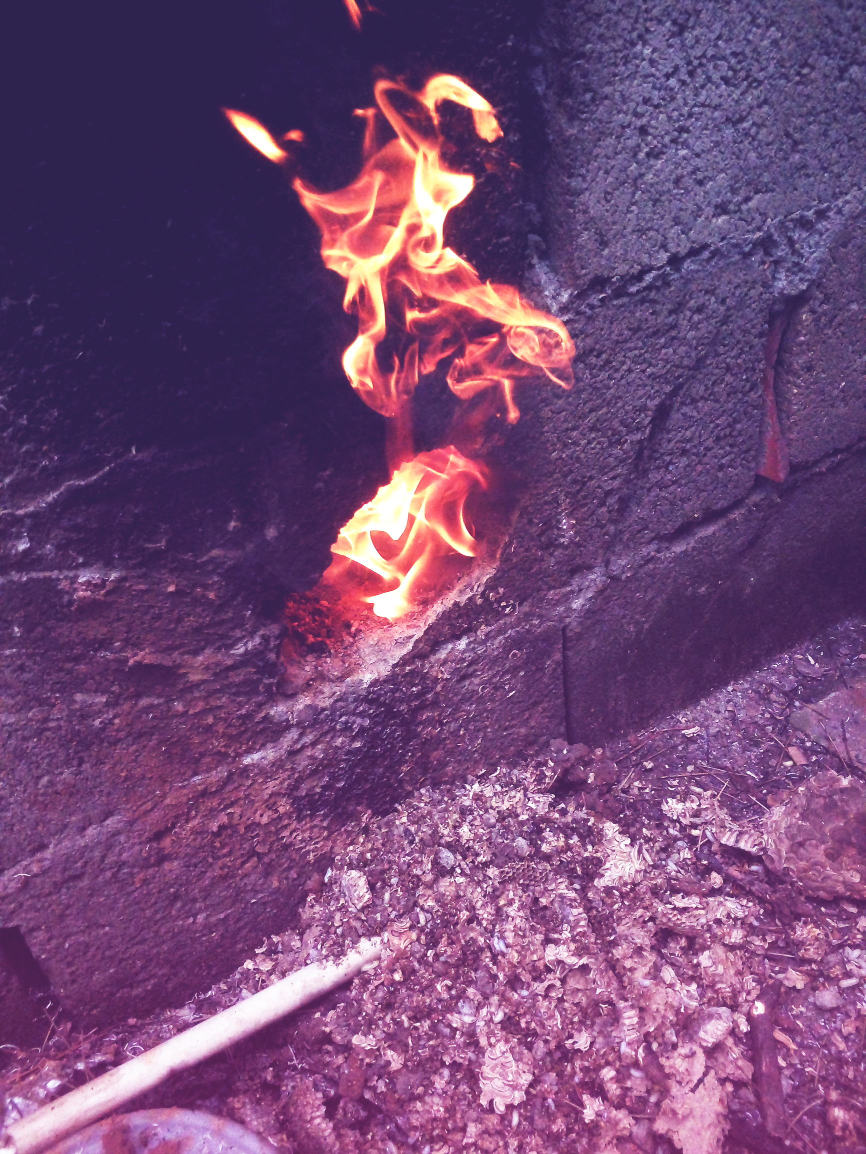 替24岁小姨子出气怒捅马蜂窝，白吃大肉饼还得到一宝贝