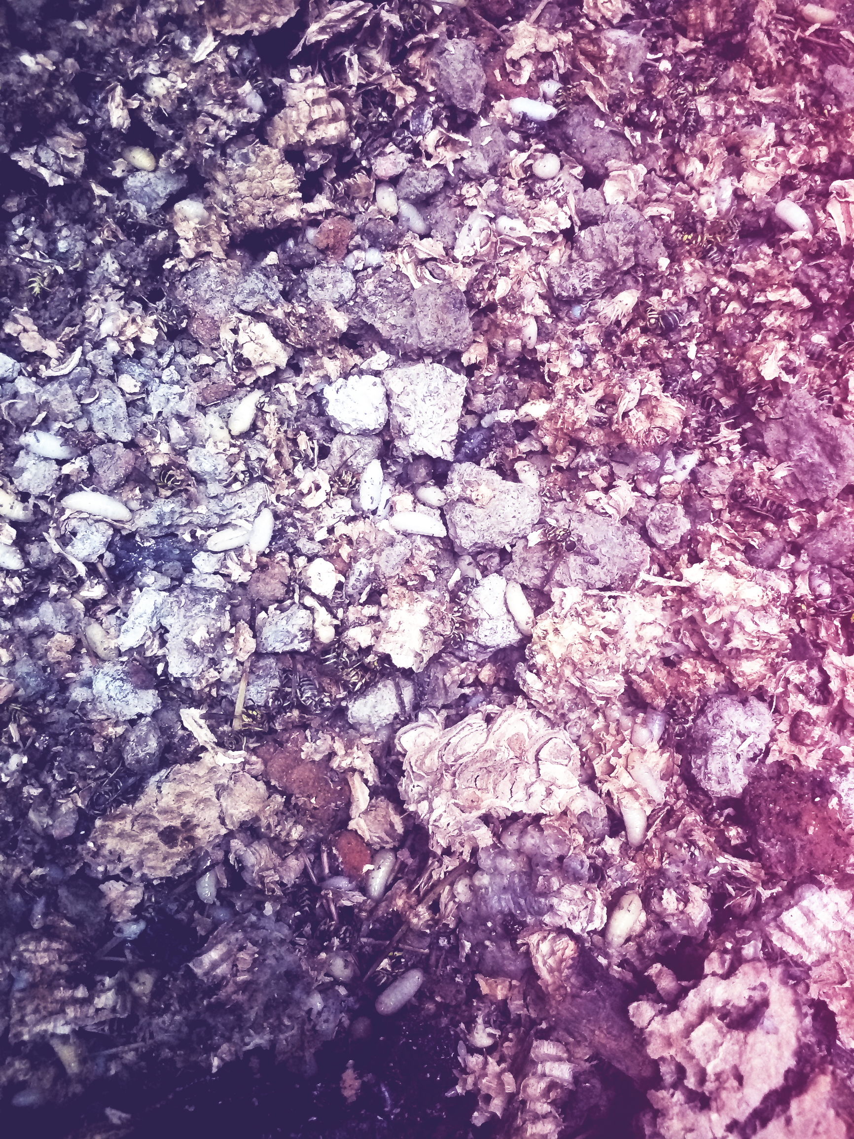 替24岁小姨子出气怒捅马蜂窝，白吃大肉饼还得到一宝贝