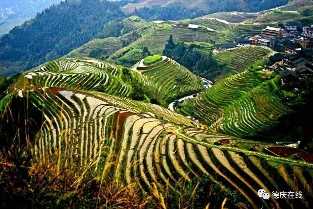 人物｜德庆老摄影人麦庭发对香山情有独钟，退休后每天早上五点登香山，风雨不改