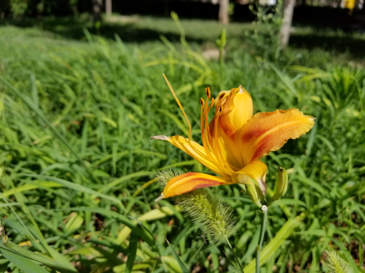 三星盖乐世s8测评,三星盖乐世s8图片