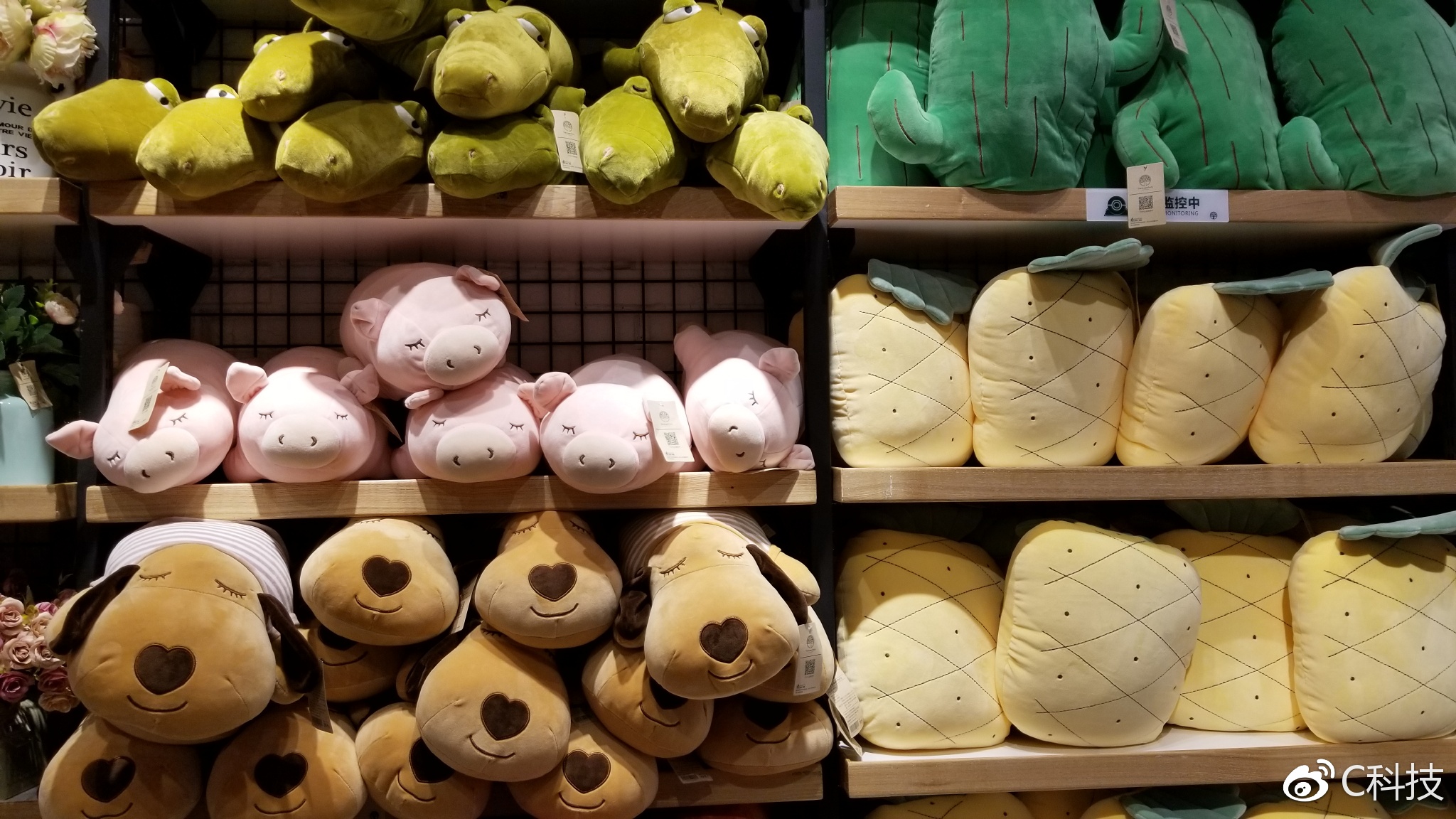 王者之上游戏,王者之上