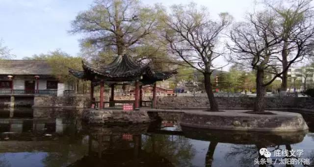 强力推出《底线文学》赵海龙的散文专刊