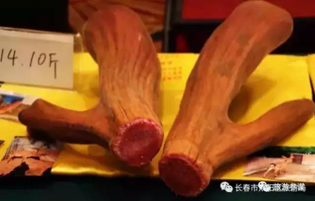 2017年梅花鹿节举办,长春双阳梅花鹿节