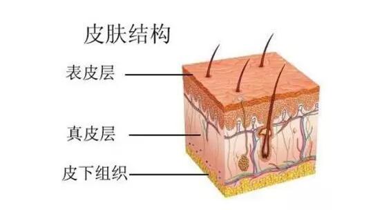 平价的补水的产品哪款好用有效,性价比最高的补水产品