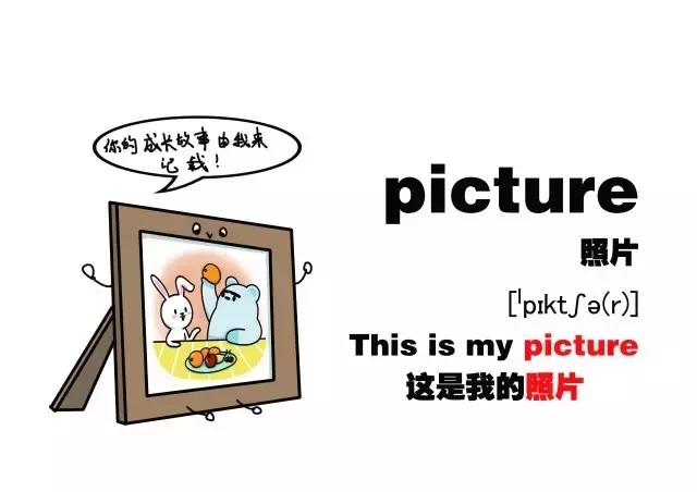 熊孩子绘本故事第16集,熊孩子绘本故事当田鼠遇到蜗牛