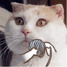 澳洲洗衣液测评,澳洲益生菌洗衣液推荐品牌